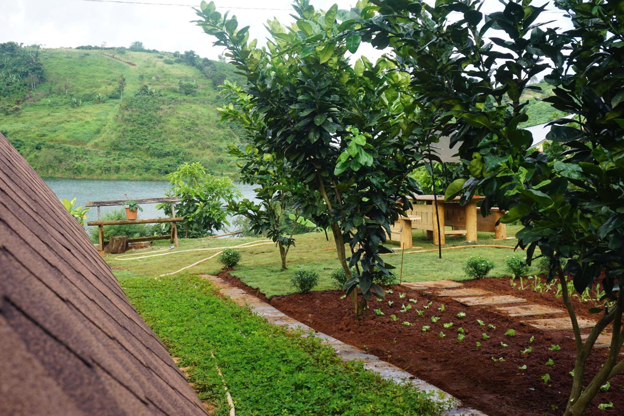 Nha Bao La - Ho Dak Long Thuong Hotel Bảo Lộc Eksteriør billede